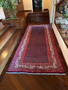 IMG-20240113-WA0006(1)