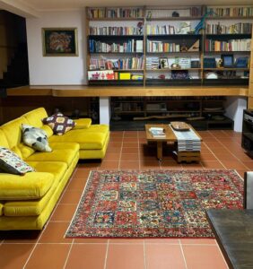 IMG_20241112_105727_969