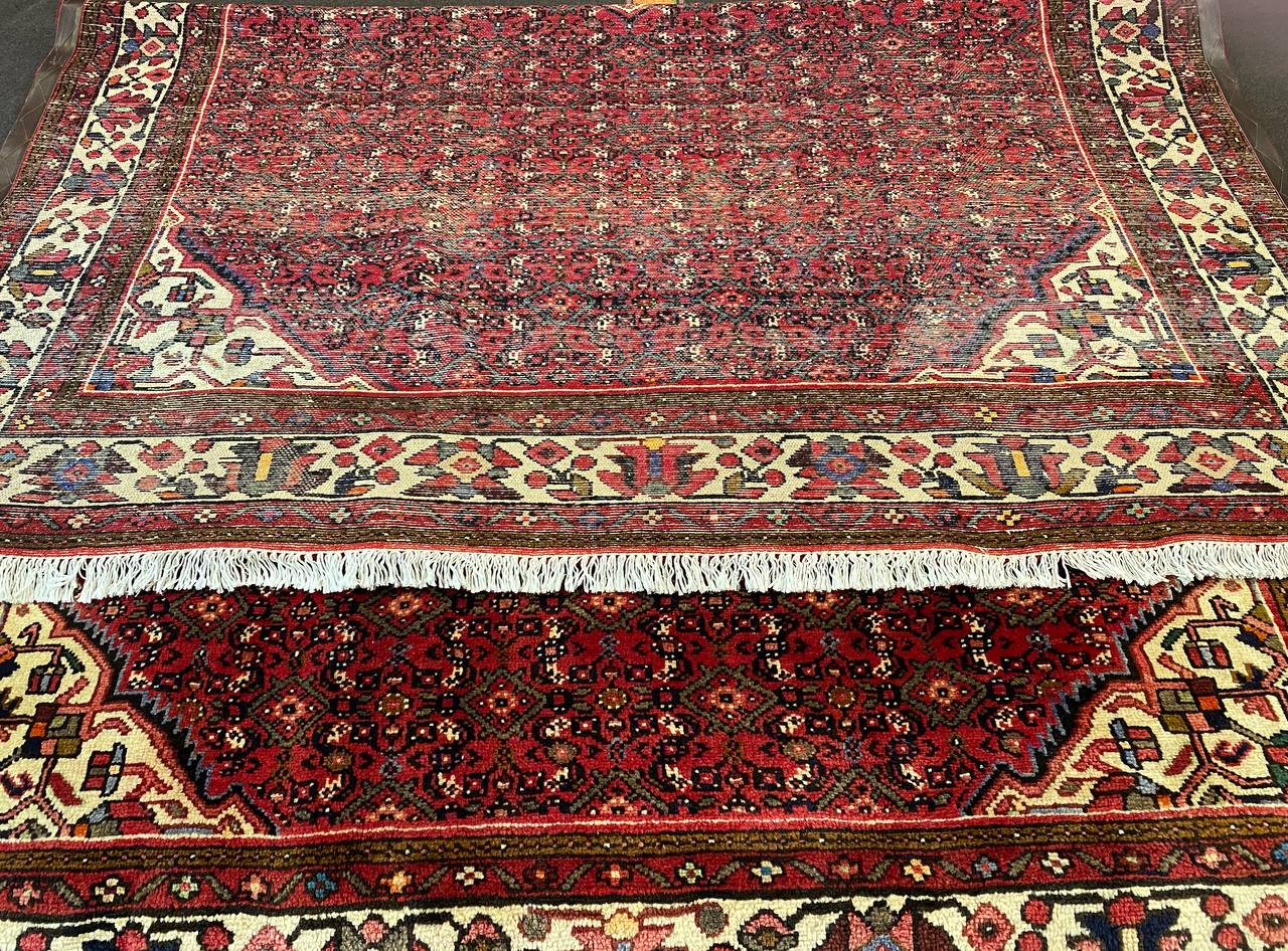 Tappeto Persiano Hosseinabad 310 x 206 cm - immagine 6