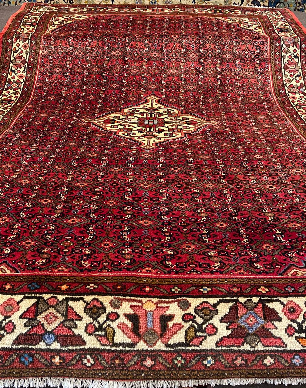 Tappeto Persiano Hosseinabad 310 x 206 cm - immagine 3
