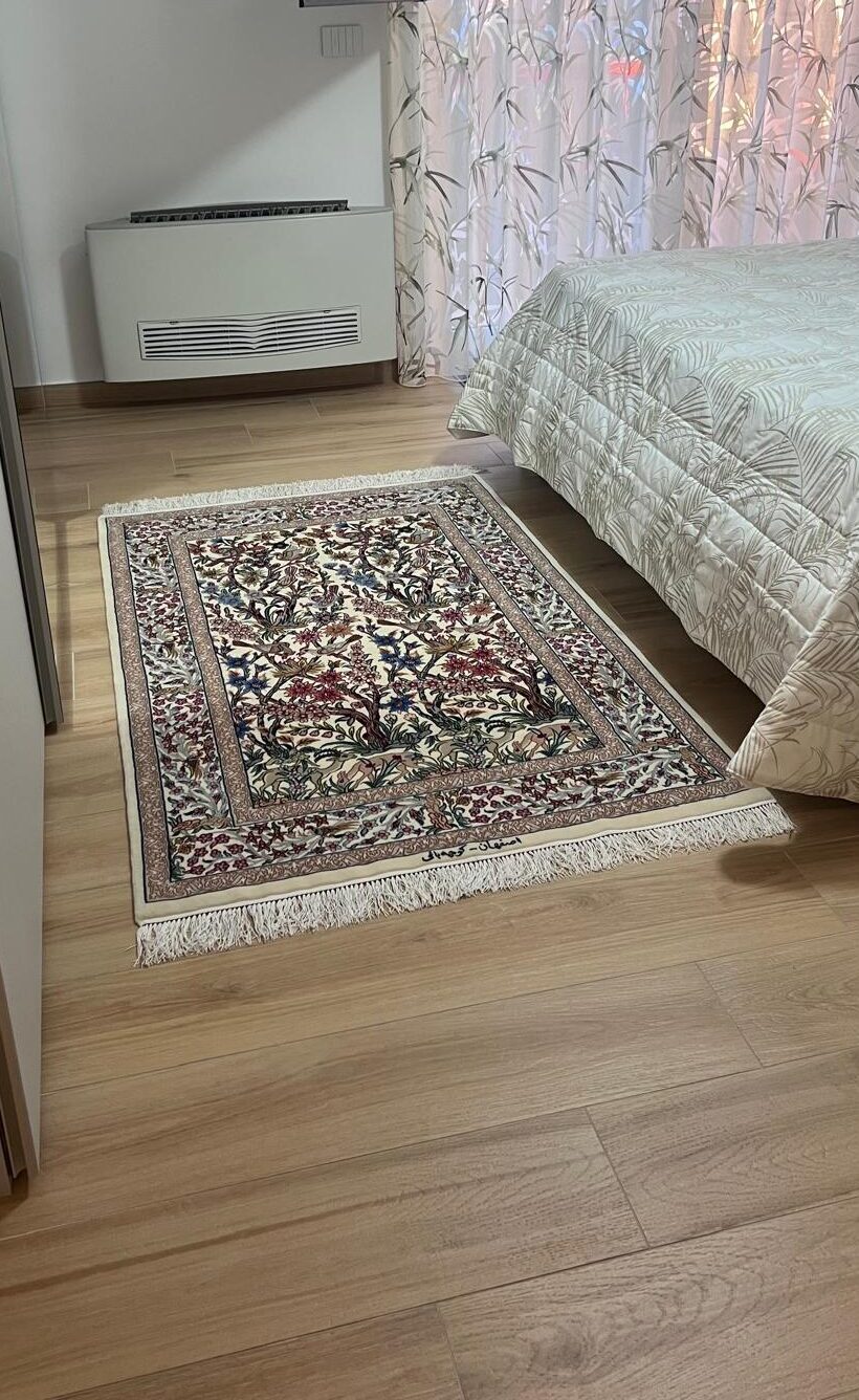 IMG-20260410-WA0005(1)