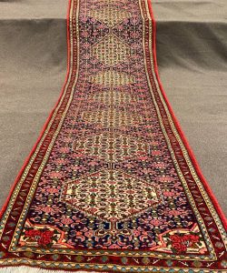 IMG_20241209_122613_742