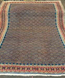 IMG_20250303_123743_403