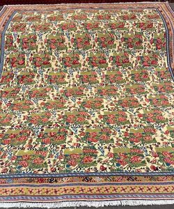 IMG_20251114_123322_803