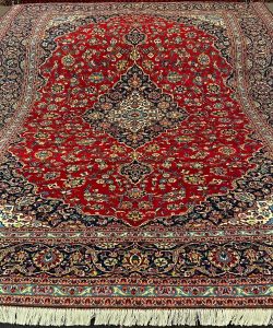 IMG_20251114_123425_749