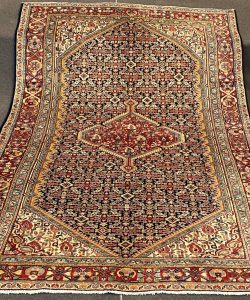 IMG_20260304_123031_916